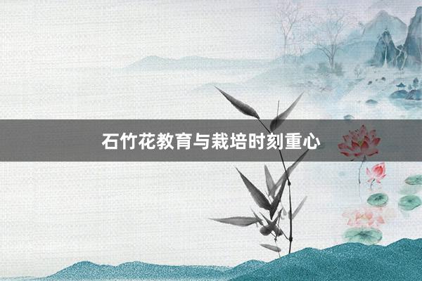 石竹花教育与栽培时刻重心