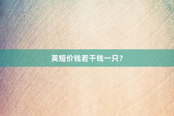 英短价钱若干钱一只？