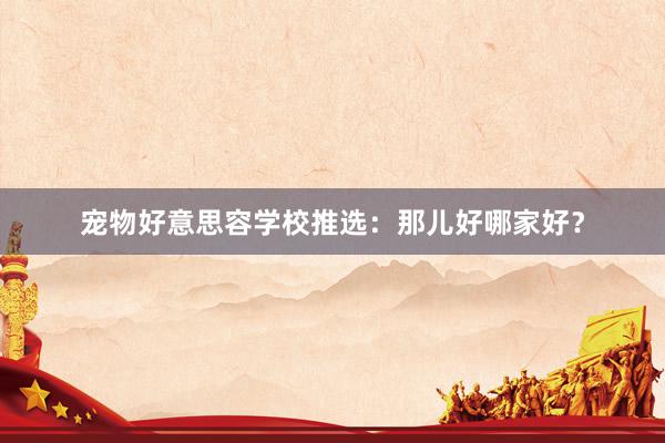 宠物好意思容学校推选:那儿好哪家好?