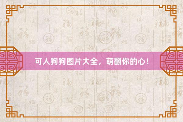 可人狗狗图片大全，萌翻你的心！
